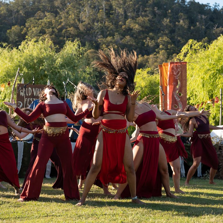 Wild Village Festival
