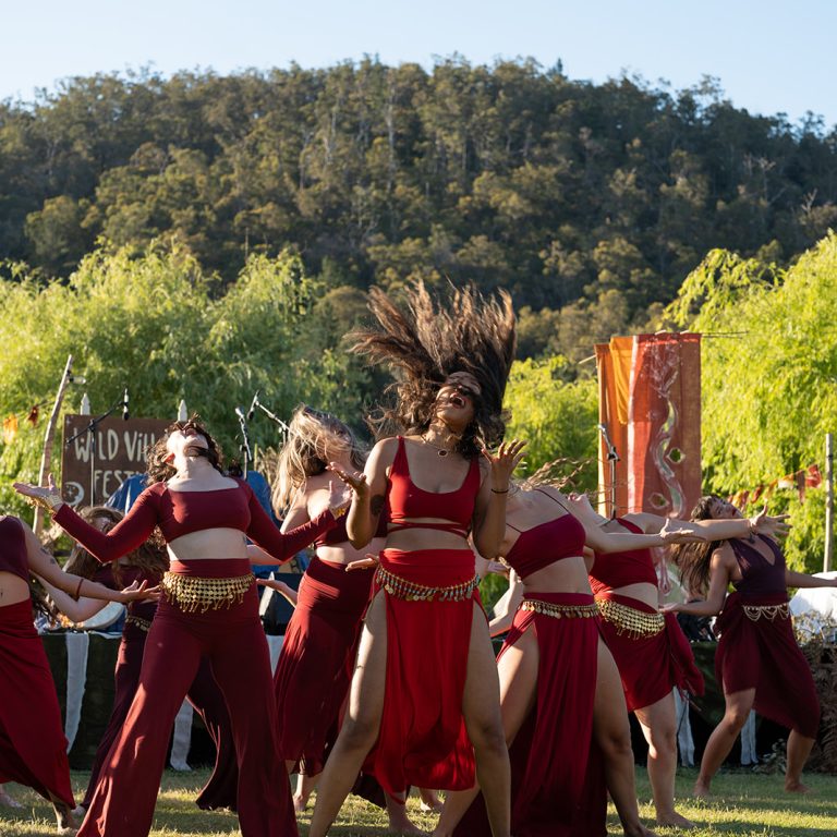 Wild Village Festival